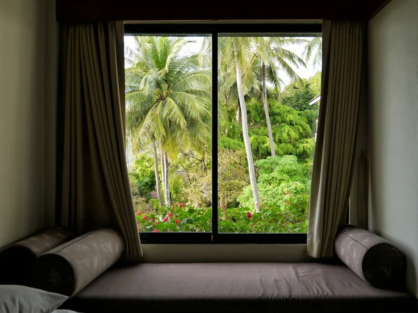 Tropical gardens and palm trees outside the window