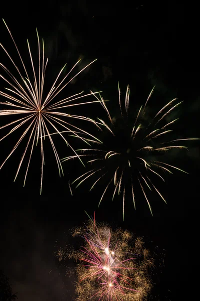 Fireworks-Fuegos artificiales