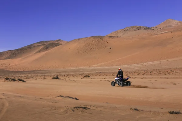 Quad racing in the desert II