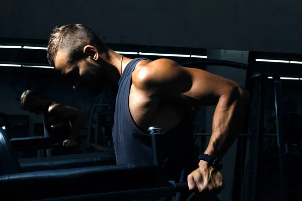 Bodybuilder man in gym doing dips as arm training