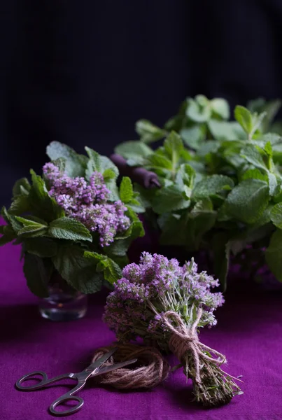 Bouquet of fragrant herbs. Mint and thyme. The style of the dark