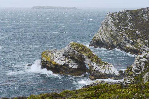 The North East coast of East Falkland, Falkland Islands (Islas Malvinas)