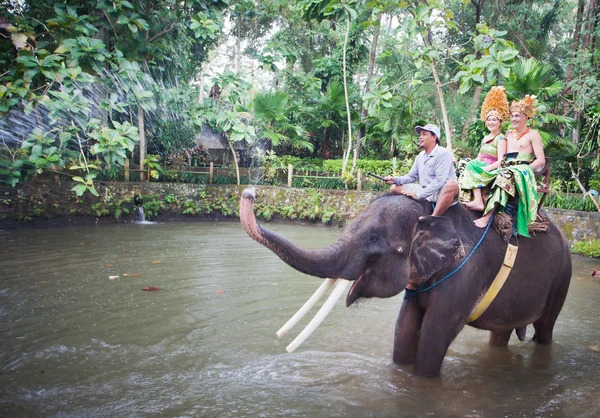 Couple riding and traveling on an elephant