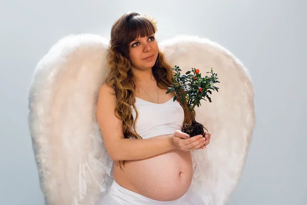 Pregnant angelic woman on white background with small tree