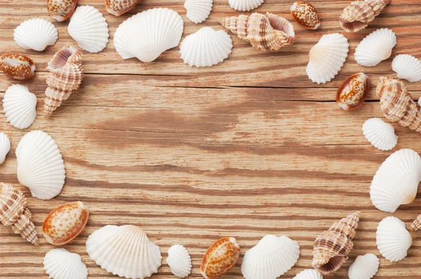 Sea shells forming frame on the old wooden board, view from above