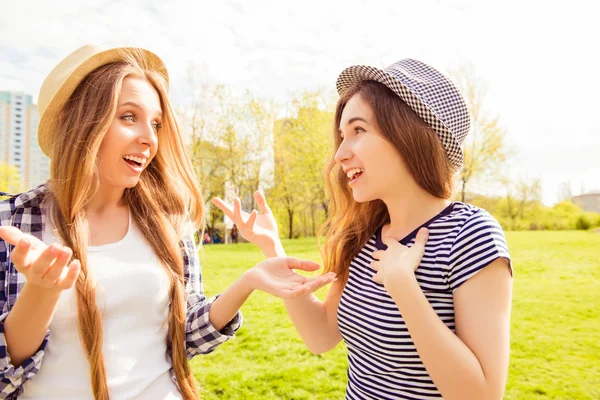 Two excited pretty girls having conversation in the park