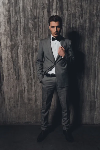 Confident man with a bow-tie standing on the grey background