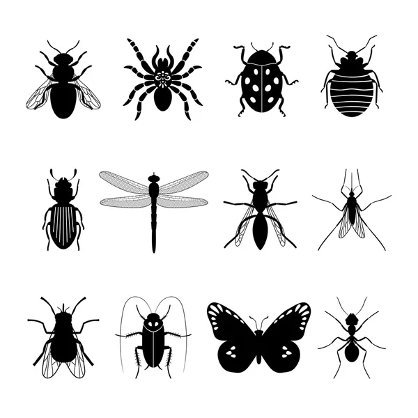 Insects icons