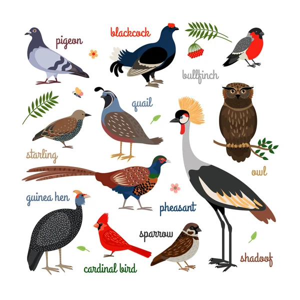 Vector bird icons