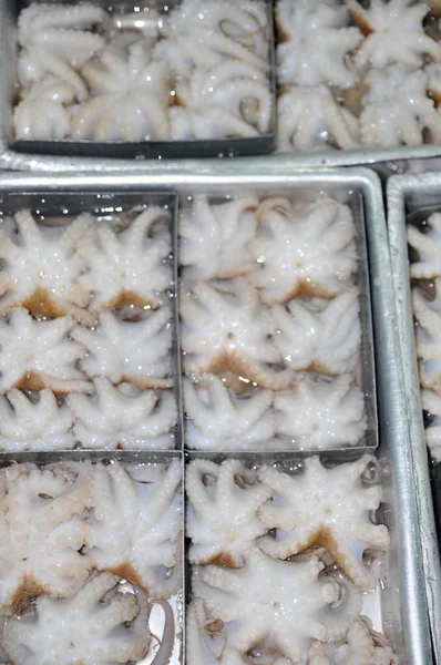 Octopus raw material is ready to be frozen in tray in a seafood factory in Vietnam
