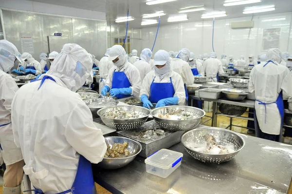 Tra Vinh, Vietnam - November 19, 2012: Workers are peeling and processing fresh raw shrimps in a seafood factory in the Mekong delta of Vietnam