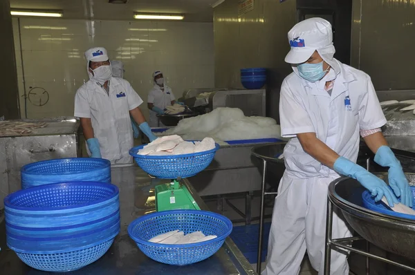 Tien Giang, Vietnam - March 2, 2013: Workers are weighing pangasius fish fillets in a seafood processing plant in Tien Giang, a province in the Mekong delta of Vietnam