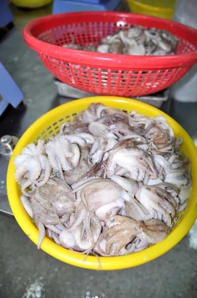 Vung Tau, Vietnam - September 28, 2011: Raw fresh octopus are washed and put in baskets preparing to get into the next processing steps in a seafood factory in Vietnam