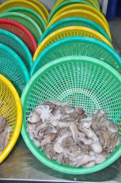Vung Tau, Vietnam - September 28, 2011: Raw fresh octopus in baskets are waiting to be transfered to the next step of processing line in a seafood factory in Vietnam
