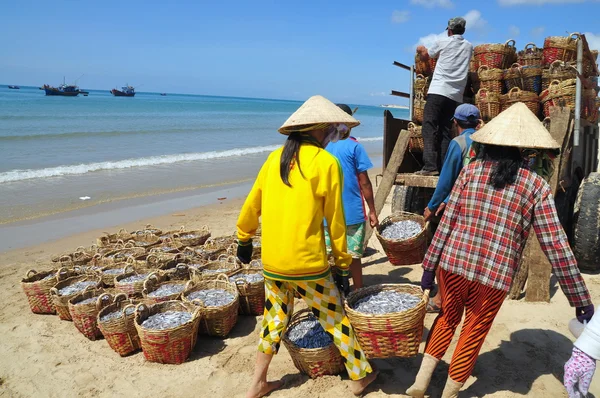 Lagi, Vietnam - February 26, 2012: Local women are uploading fisheries onto the truck to the processing plant in Lagi beach