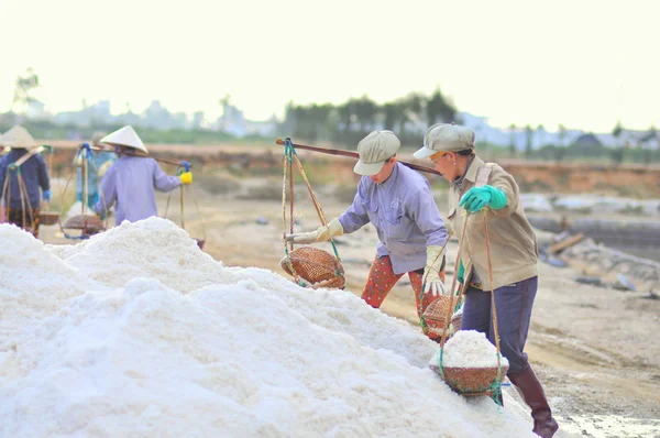 Ninh Hoa, Vietnam - March 2, 2012: Vietnamese women are burdening hard to collect salt from the extract fields to the storage fields