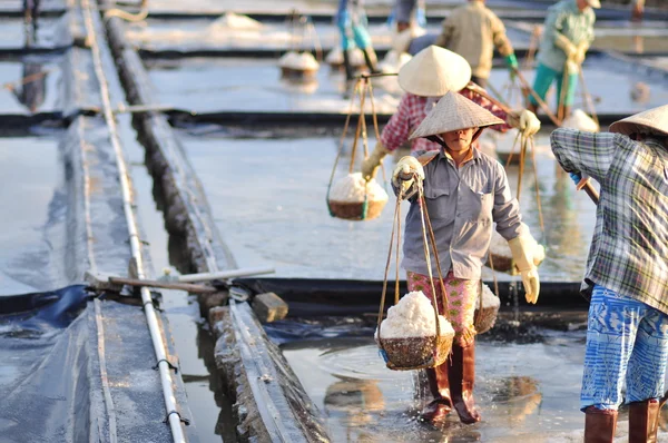 Ninh Hoa, Vietnam - March 2, 2012: Vietnamese women are burdening hard to collect salt from the extract fields to the storage fields
