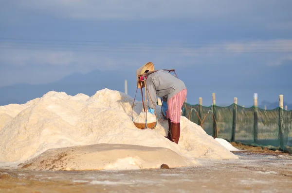 Ninh Hoa, Vietnam - March 2, 2012: Vietnamese women are burdening hard to collect salt from the extract fields to the storage fields