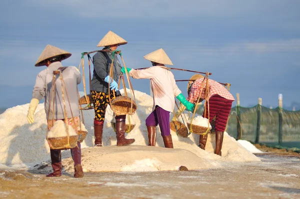 Ninh Hoa, Vietnam - March 2, 2012: Vietnamese women are burdening hard to collect salt from the extract fields to the storage fields