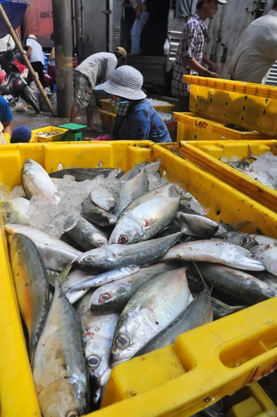 Kien Giang, Vietnam - March 13, 2014: Fishes are put into baskets waiting for loading onto trucks to a local seafood factory in Cai Tac dock in Vietnam