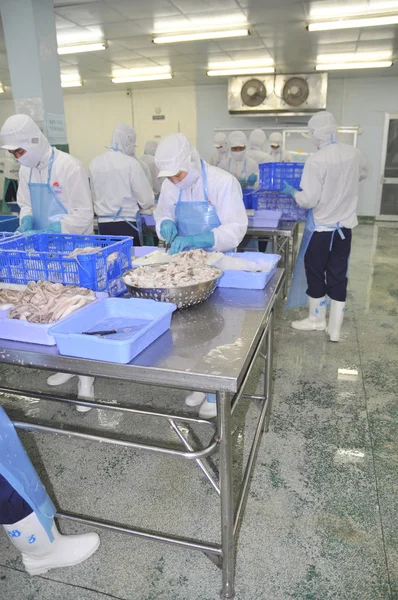 Ho Chi Minh city, Vietnam - October 3, 2011: Workers are cutting raw fresh materials in a seafood factory in Ho Chi Minh city, Vietnam