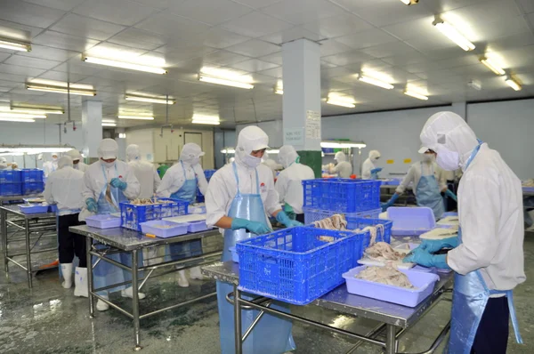 Ho Chi Minh city, Vietnam - October 3, 2011: Workers are cutting raw fresh materials in a seafood factory in Ho Chi Minh city, Vietnam