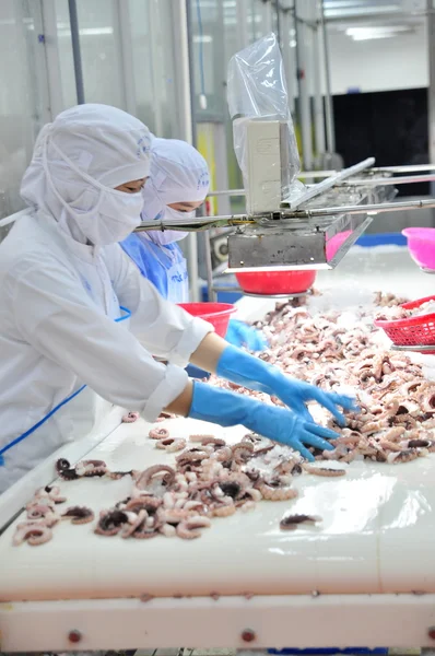 Vung Tau, Vietnam - December 9, 2014: Workers are classifying octopus for exporting in a seafood processing factory