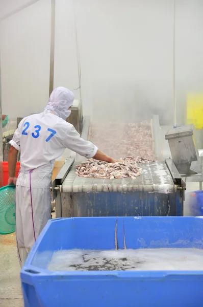 Vung Tau, Vietnam - December 9, 2014: A worker is boiling octopus before transferring to process for exporting in a seafood factory