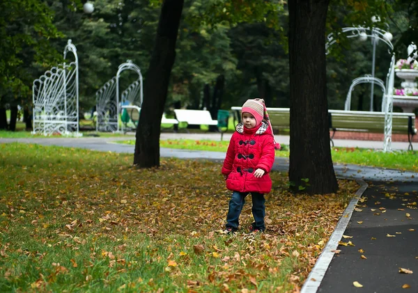 Girl walks in autumn park