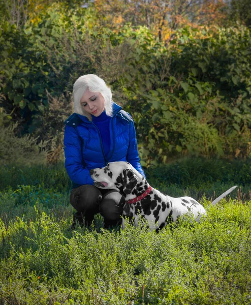 Magnificent Dalmatian dog on the nature with a girl