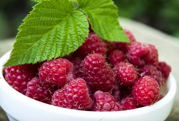 A plate full of fresh ripe raspberries with green leaf raspberry