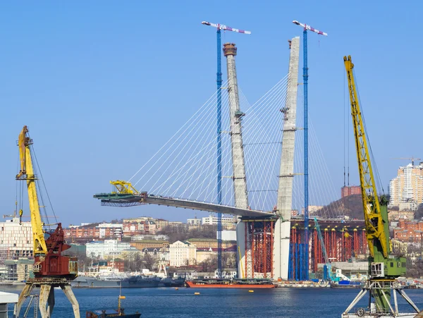 Construction of big guyed bridge