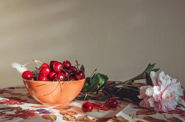 Fine art, Still life composition with a fresh pink peony flower, red marsala cherries on  table  vintage tablecloth. Blossom floral and fruit. Rustic style  beige background  sunlight. Beauty natural