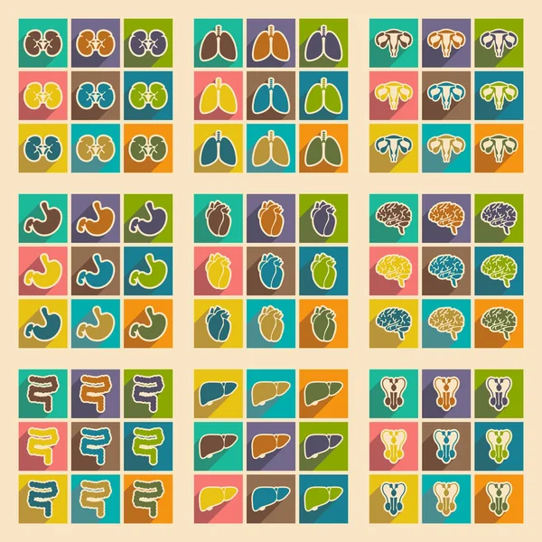 Icons of assembly internal organs in flat style