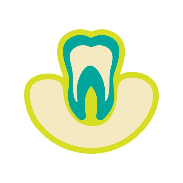 Icon of tooth gums in flat style