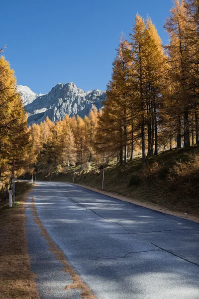 Countryside road in Dachstein mountains in Austria