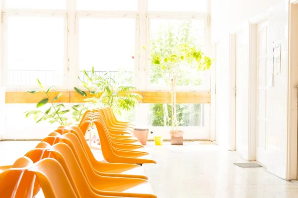 Doctors waiting room with chairs and potted plant