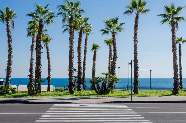 Beach road along Mediterranean sea