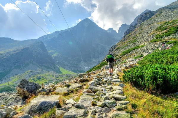 Hiker in the mountains.