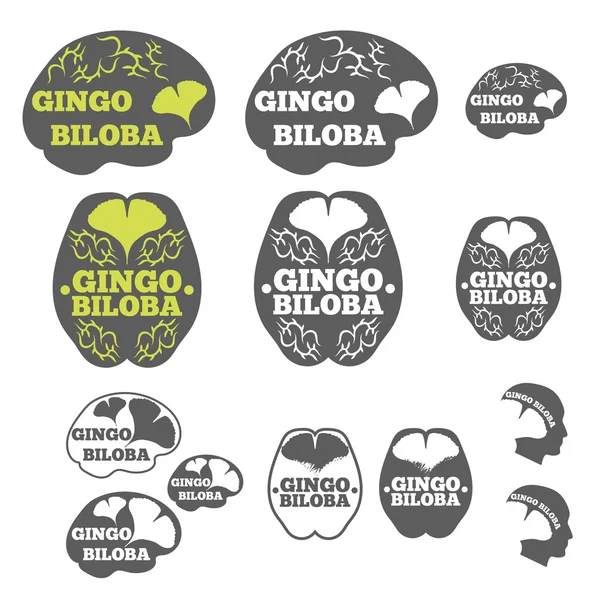 Logo of ginkgo biloba