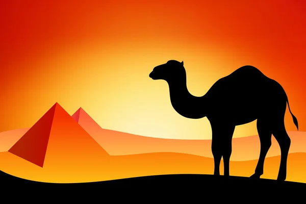 Egypt camel silhouette landscape nature sunset sunrise illustration vector