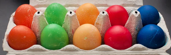 Colored easter eggs in an egg box