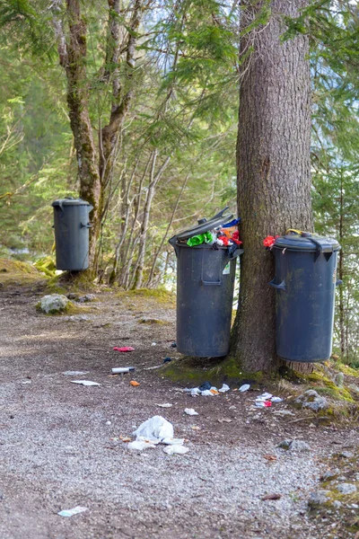 Overflowing trash can in the forest