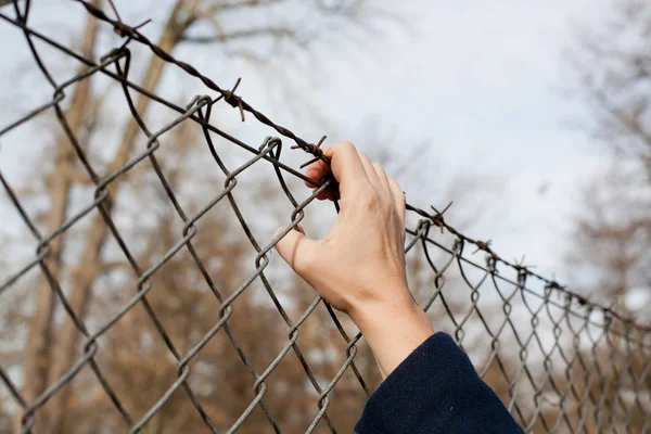 Woman reaching for barbed wire fence