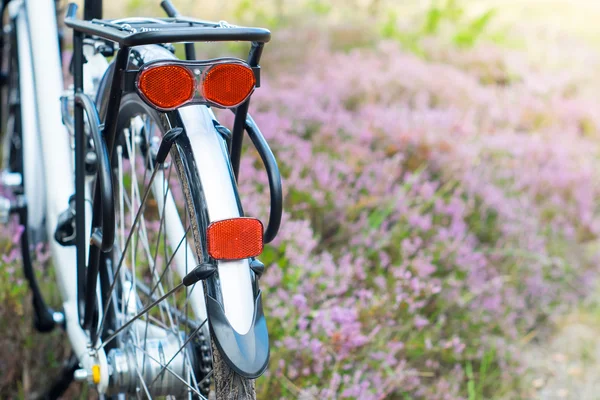 Backside of the bicycle in the forest, DOF