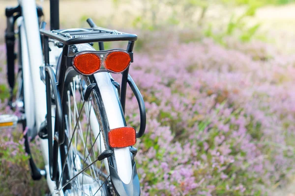 Backside of the bicycle in the forest, DOF