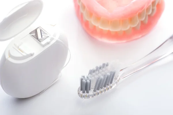 Teeth model with toothbrush and dental floss on white background