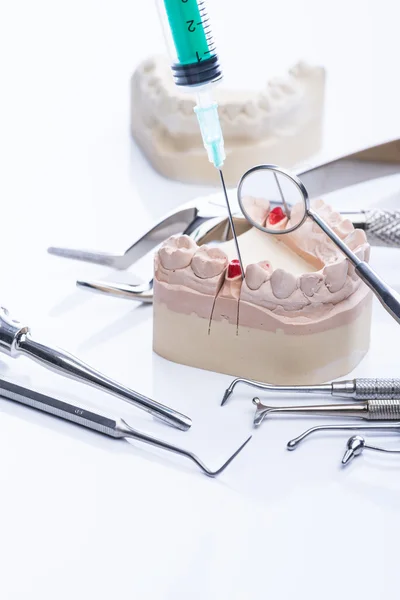 Teeth mold and basic dental tools on white table