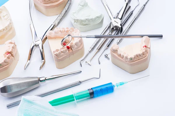 Teeth mold and basic dental tools on white table