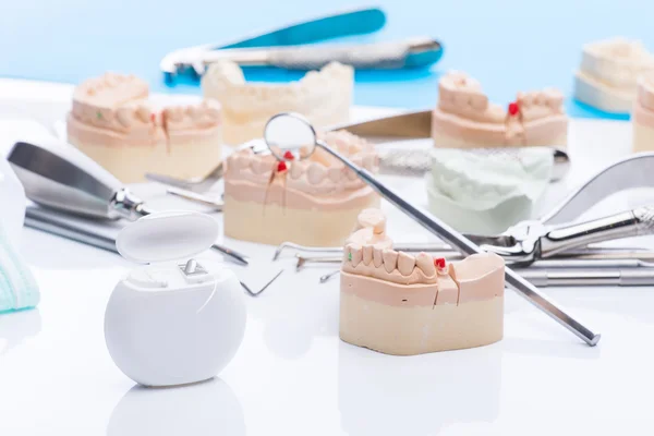 Teeth mold and basic dental tools on white table